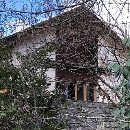 Gemuetliche Ferienwohnung Mit Garten Biasca Dış mekan fotoğraf