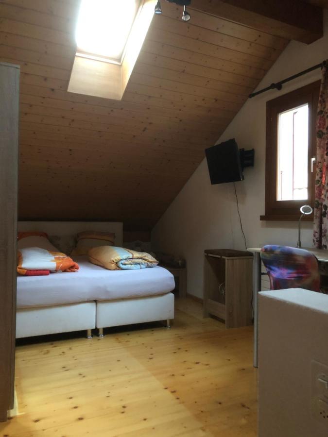 Gemuetliche Ferienwohnung Mit Garten Biasca Dış mekan fotoğraf